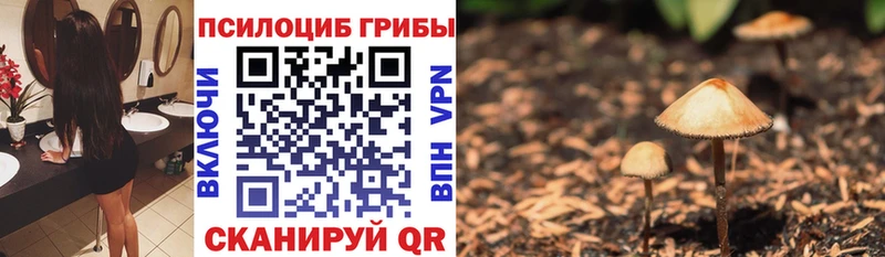 Псилоцибиновые грибы Psilocybe  Певек 